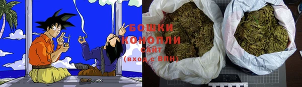 дурь Горняк