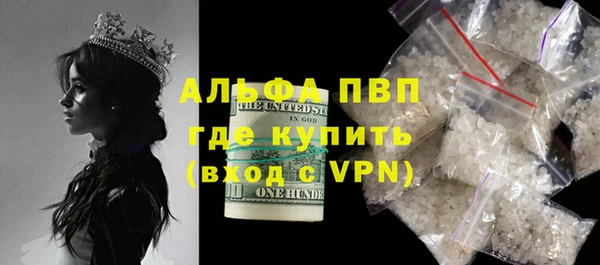 прущие грибы Горнозаводск