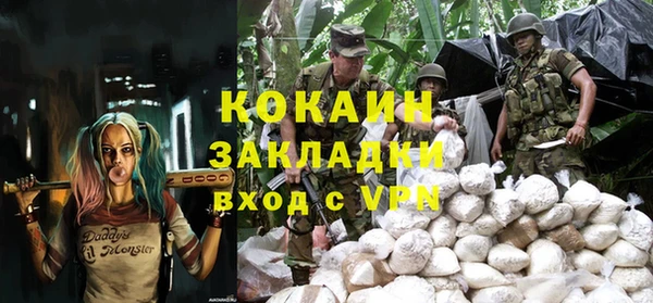 прущие грибы Горнозаводск