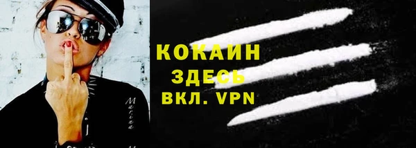 прущие грибы Горнозаводск