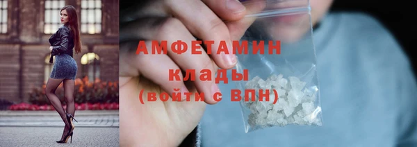 прущие грибы Горнозаводск