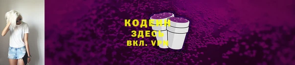 прущие грибы Горнозаводск