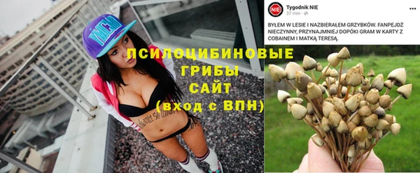 прущие грибы Горнозаводск