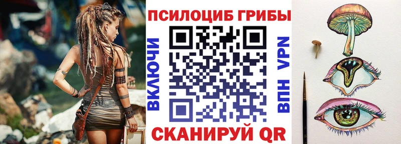 это формула  цены   Любим  Галлюциногенные грибы Cubensis 